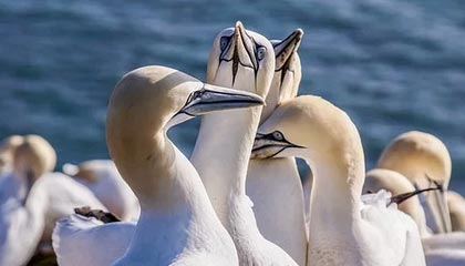 B体育网址：点亮你的每一个赛日