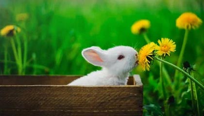 B体育网址：点亮你的每一个赛日