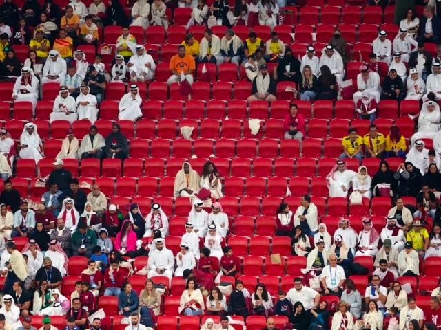 1669060890904031482.jpg 1669060550492.jpg